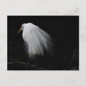 Grote grot briefkaart (Voorkant)