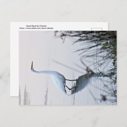 Grote grot briefkaart (Voorkant / Achterkant)