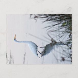 Grote grot briefkaart
