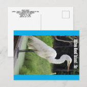 Grote grot briefkaart (Voorkant / Achterkant)