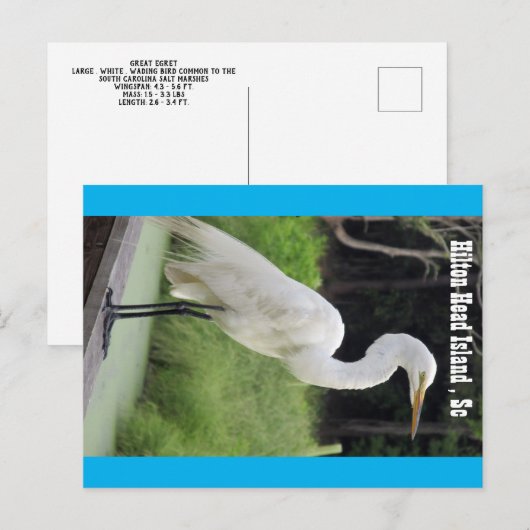 Grote grot briefkaart (Voorkant / Achterkant)