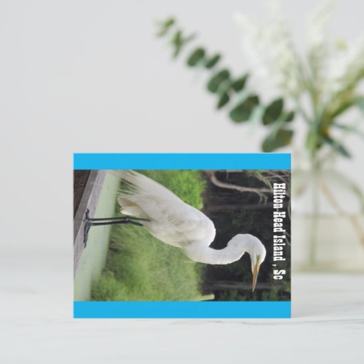 Grote grot briefkaart (Staand voorkant)