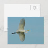 Grote grot briefkaart (Voorkant / Achterkant)