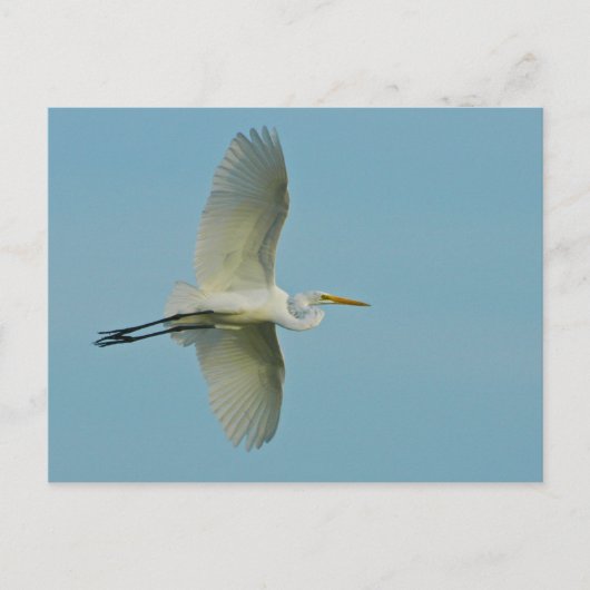 Grote grot briefkaart (Voorkant)