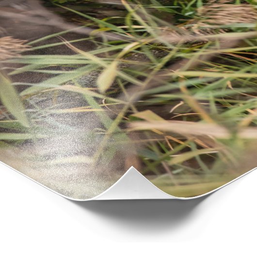 Grote grot foto afdruk (Hoek)