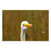 Grote grot foto afdruk (Voorkant)