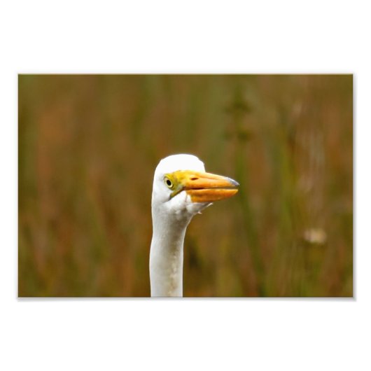 Grote grot foto afdruk (Voorkant)