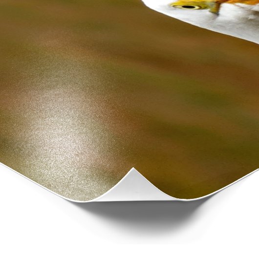 Grote grot foto afdruk (Hoek)