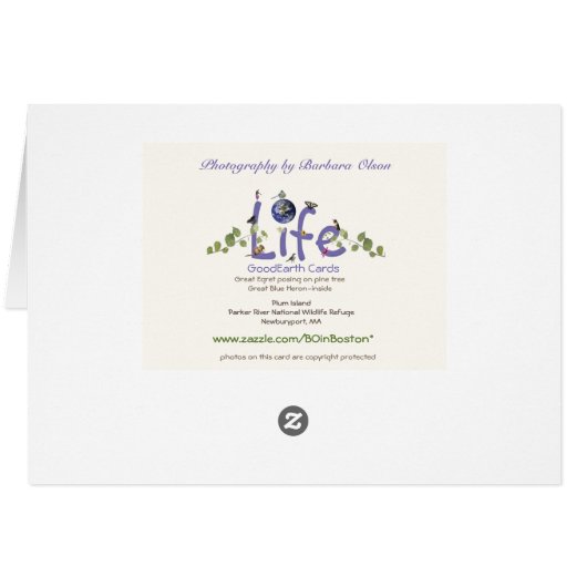 Grote grot in boom: (Achterkant Horizontaal)