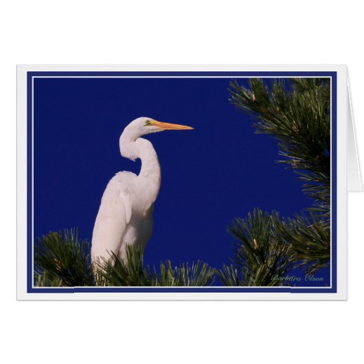 Grote grot in boom: (Voorkant Horizontaal)