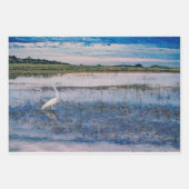 Grote grot in de wetlands inpakpapier vel (Voorkant 3)