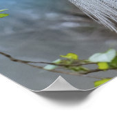 Grote grot in een boom poster (Hoek)