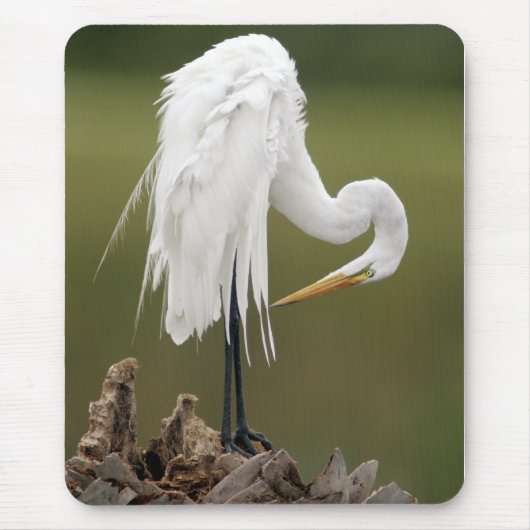 Grote grot muismat (Voorkant)