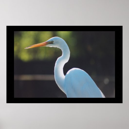 Grote grot poster (Voorkant)