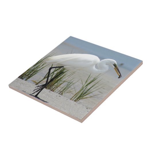 Grote grot tegeltje (Zijkant)