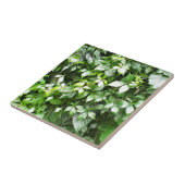 Grote growten van de groene viskreep tegeltje (Zijkant)