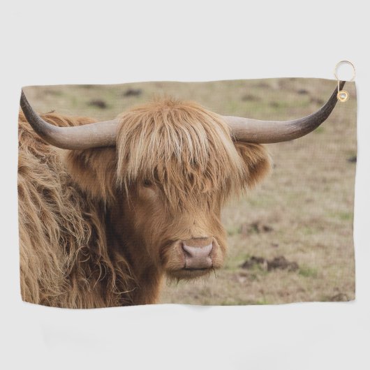 Grote harie Schotse hoogkoe Golfhanddoek (Horizontaal)