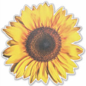 Grote Heldere Zonnebloem Bloem Geel Art Sticker (Voorkant)