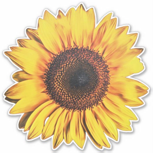 Grote Heldere Zonnebloem Bloem Geel Art Sticker (Voorkant)