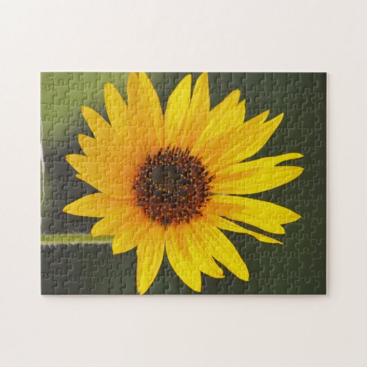 Grote Heldere Zonnebloem Natuur Puzzel Legpuzzel (Horizontaal)