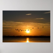 Grote helmen op zonsondergang poster (Voorkant)