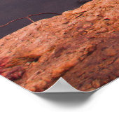 Grote Herfsten, Joplin, Missouri Poster (Hoek)