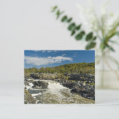 Grote Herfsten Virginia Briefkaart (Staand voorkant)