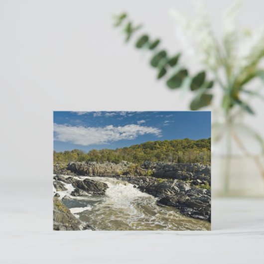 Grote Herfsten Virginia Briefkaart (Staand voorkant)