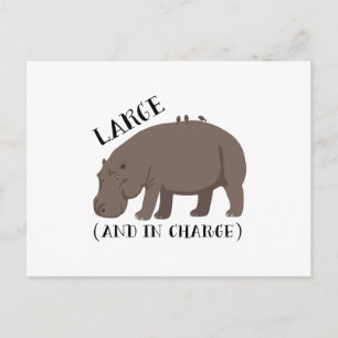 Grote Hippo Briefkaart
