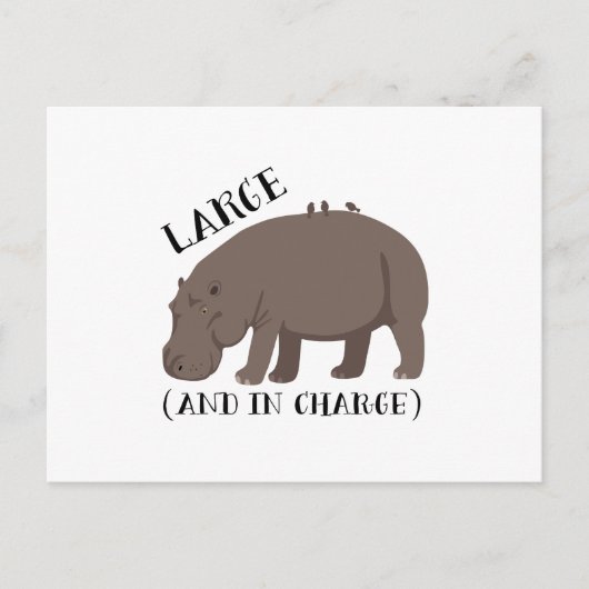 Grote Hippo Briefkaart (Voorkant)
