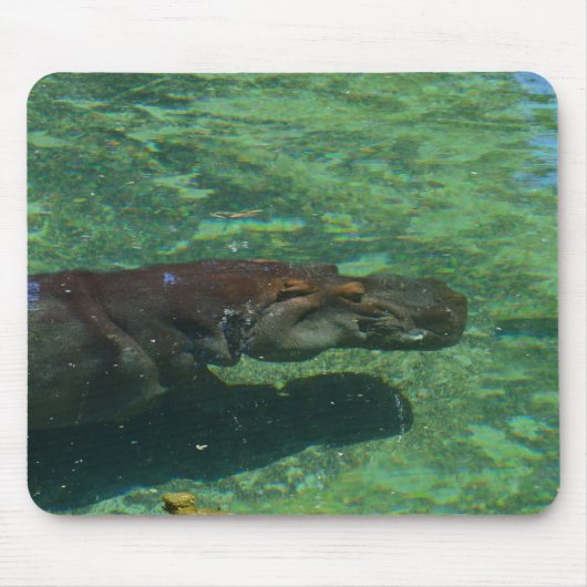 Grote Hippo-zwemmen onder water, Muismat (Voorkant)