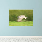 Grote hoenders (Bubo virginianus) Canvas Afdruk (Insitu (Houten vloer))