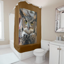 Grote hoenders (Bubo virginianus)