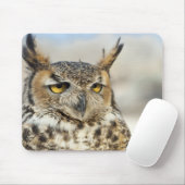 Grote hoenders (Bubo virginianus) Muismat (Met muis)