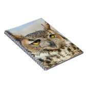 Grote hoenders (Bubo virginianus) Notitieboek (Rechterzijde)