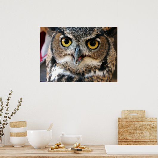 Grote hoenders (Bubo virginianus) Poster (Keuken)