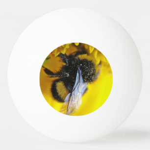 Grote hommel pingpongbal