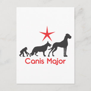 Grote Hond Canis Major Briefkaart