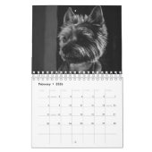 Grote honden in zwart-wit kalender (Feb 2026)