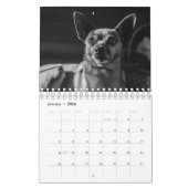 Grote honden in zwart-wit kalender (Jan 2026)