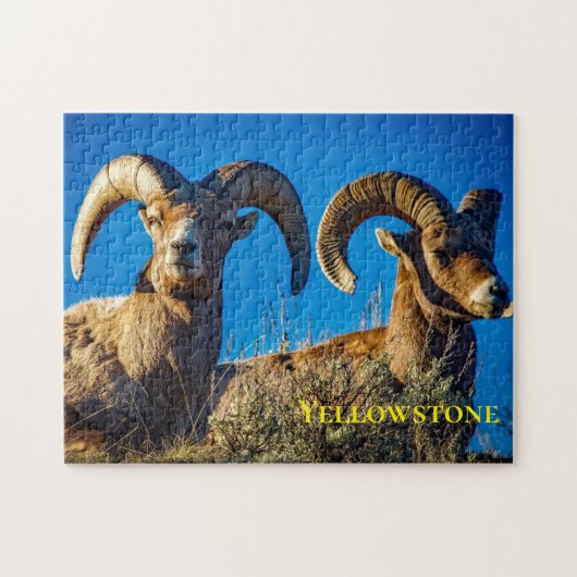 Grote Hoorn Game Puzzel (Horizontaal)