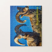 Grote Hoorn Game Puzzel (Verticaal)