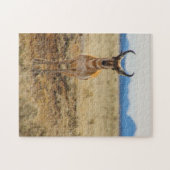 grote hoorn legpuzzel (Horizontaal)