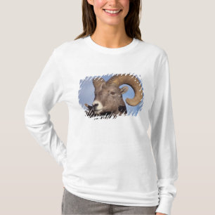 grote hoornschaap, bergschaap, Ovis canadensis, T-shirt