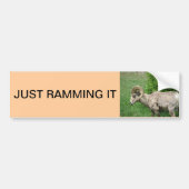 grote hoornschaap bumpersticker (Voorkant)