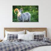 Grote hoornschaap canvas afdruk (Insitu (Slaapkamer))