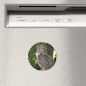 Grote hoornvlies magneet (Insitu (Vaatwasser))
