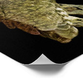 Grote hoornvliezen bij nacht poster (Hoek)