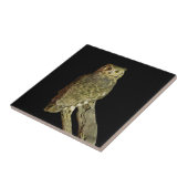 Grote hoornvliezen bij nacht tegeltje (Zijkant)