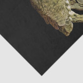 Grote hoornvliezen bij nacht tissuepapier (Detail)